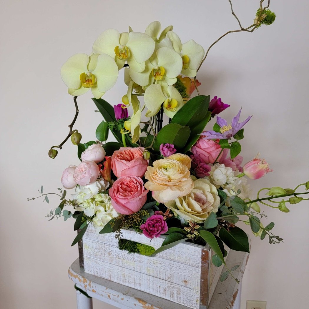 Misaghi Design . Orinda Florist 2