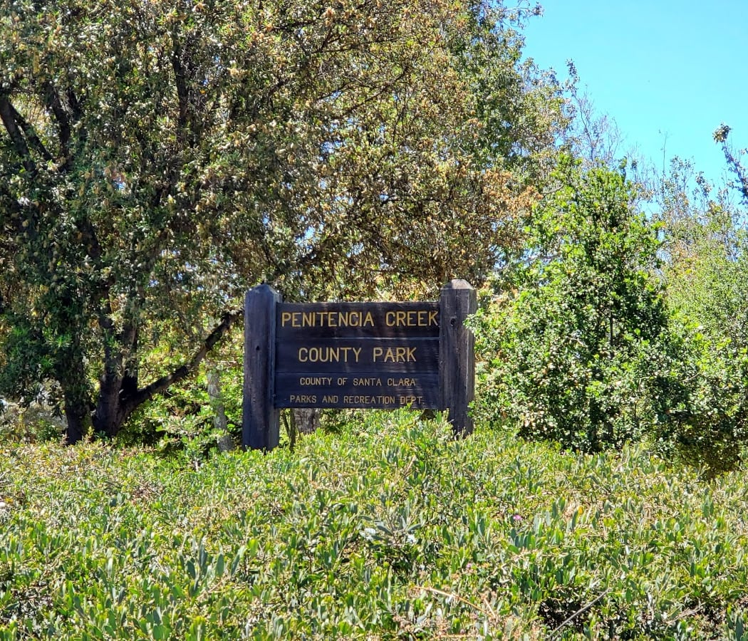Penitencia Creek County Park 2