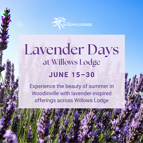 Lavender Days at Willows Lodge