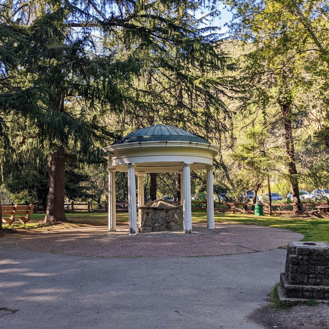 Bioblitz: Alum Rock Park 2