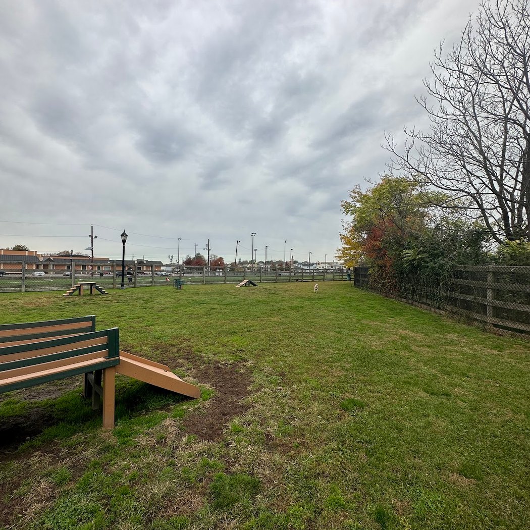 Civic Center Dog Park 2