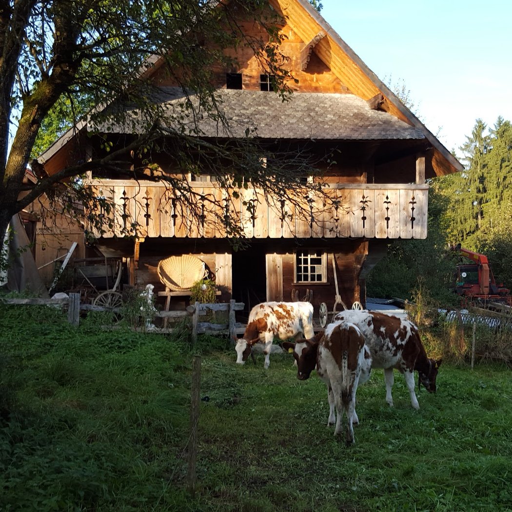 La Neirigue 1