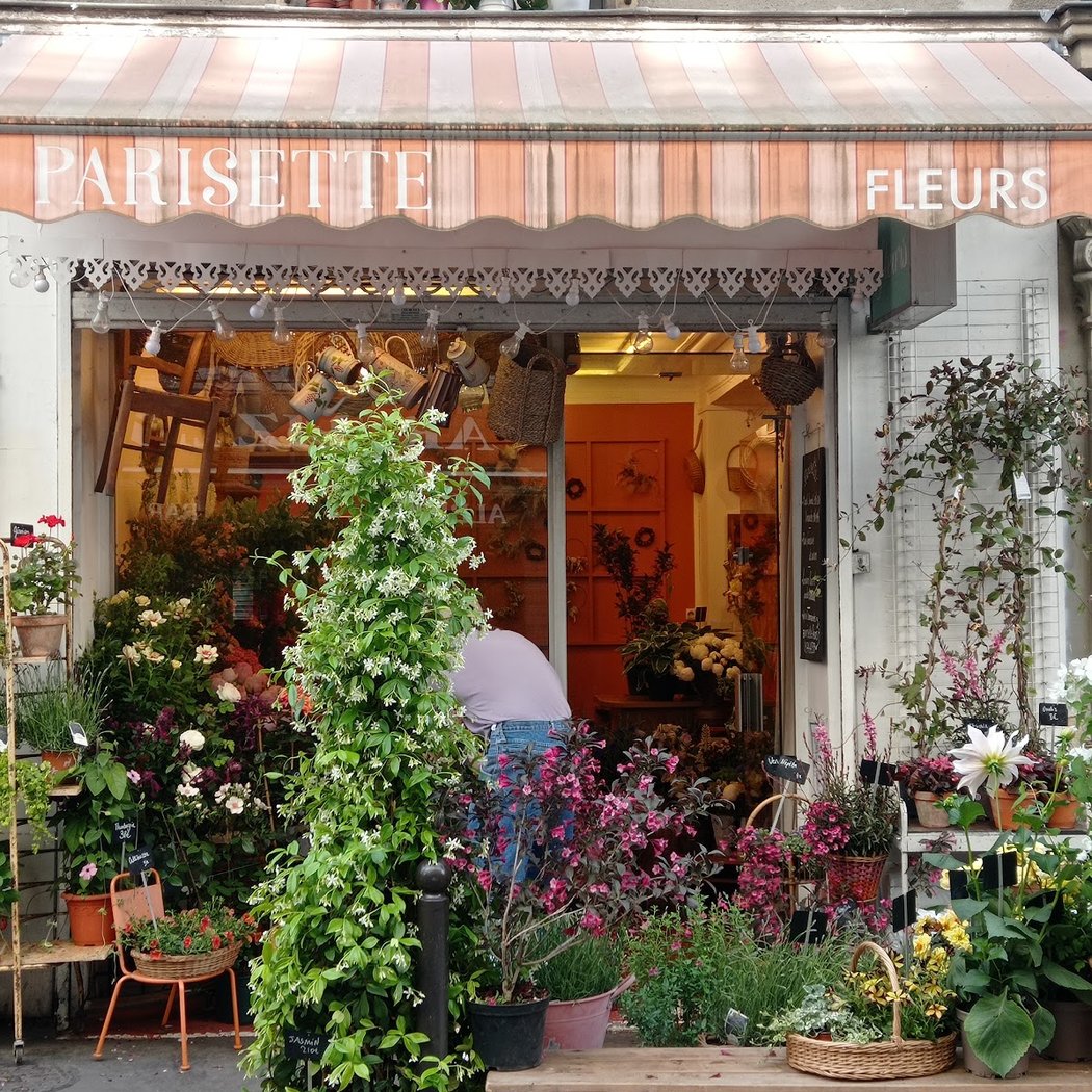 Parisette Fleurs 2