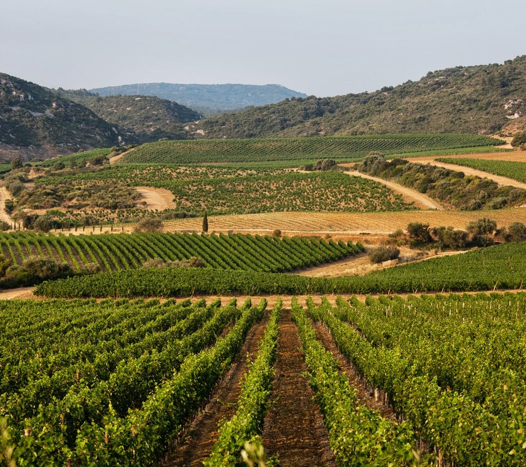 Château de Lastours, Vins et Resort d'exception 4