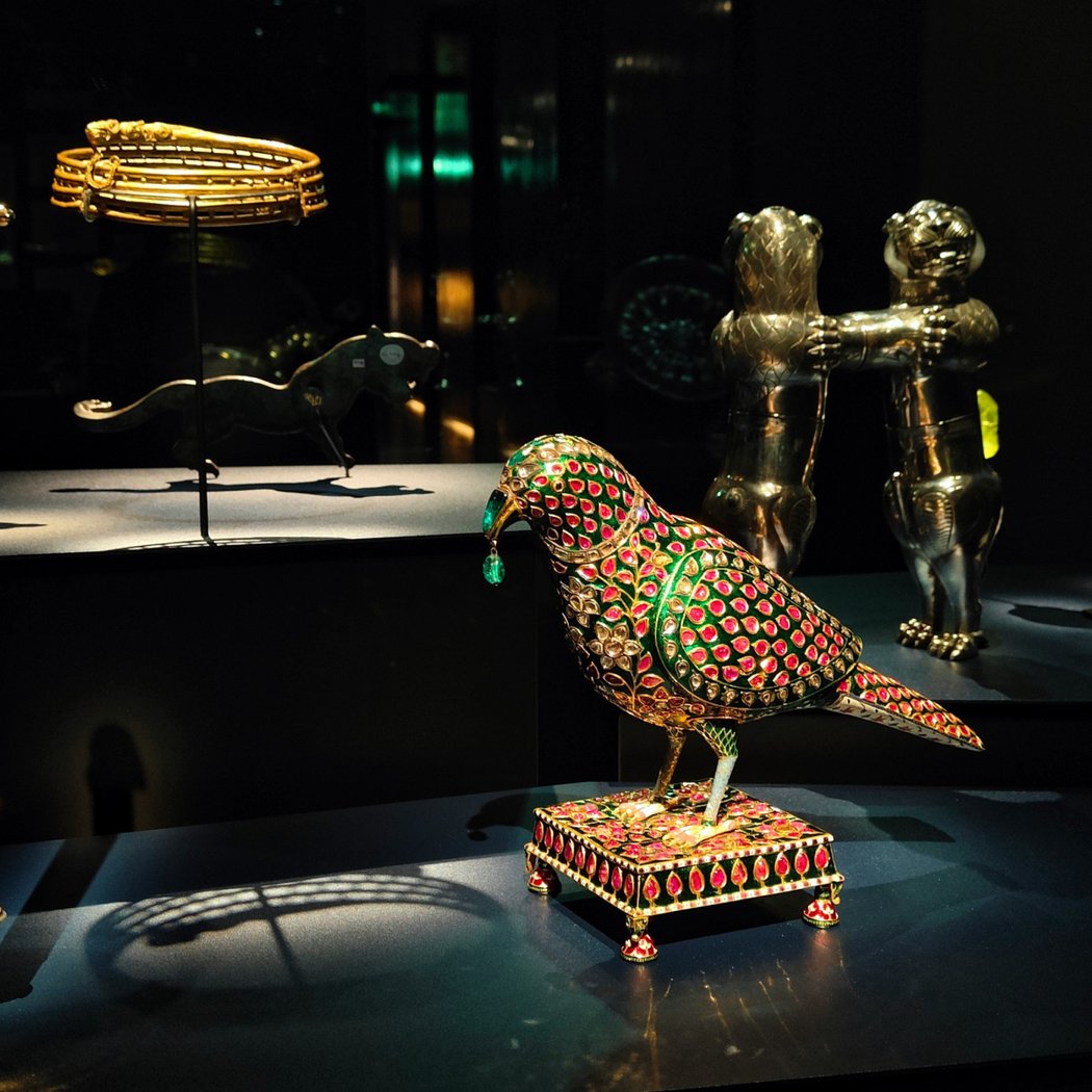 Animalia 1