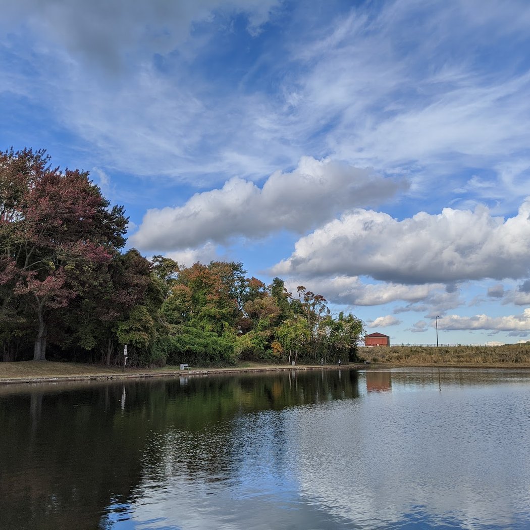 McDonald Pond 3