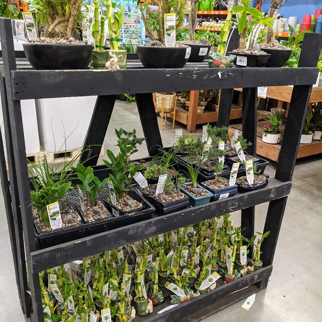 Garden Center at The Home Depot 3