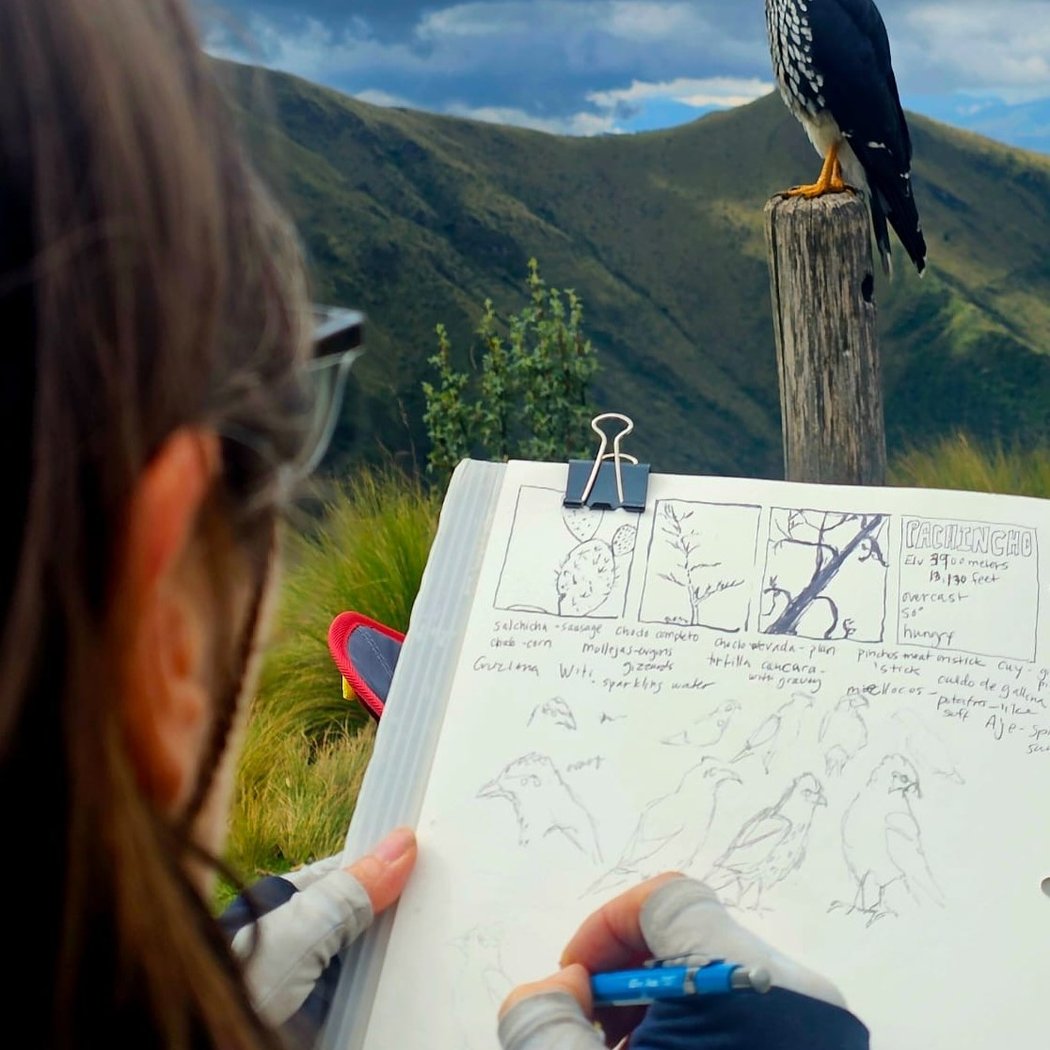 Intro to Nature Journaling 1