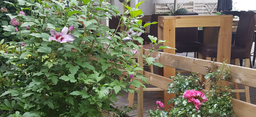 Jéroboam Côté Jardin 2