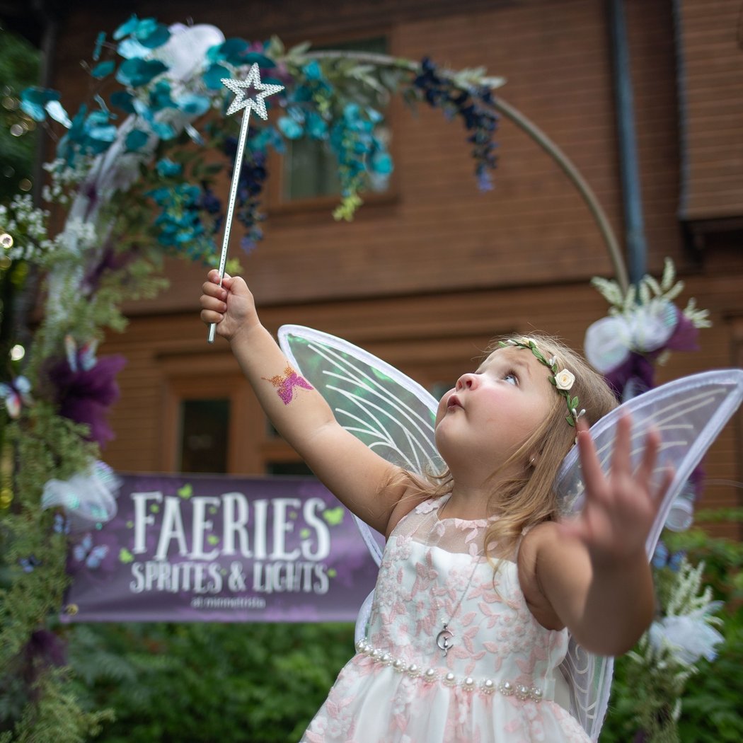 Faeries, Sprites, and Lights 1