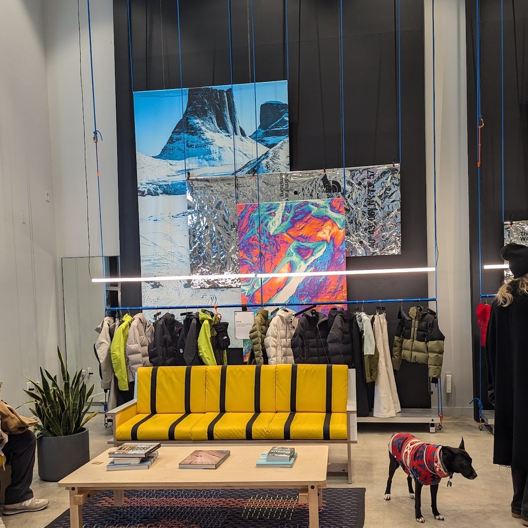 The North Face Williamsburg 3