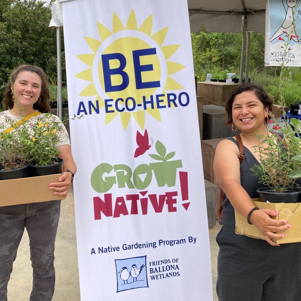 Grow Native! Gardening Club 2