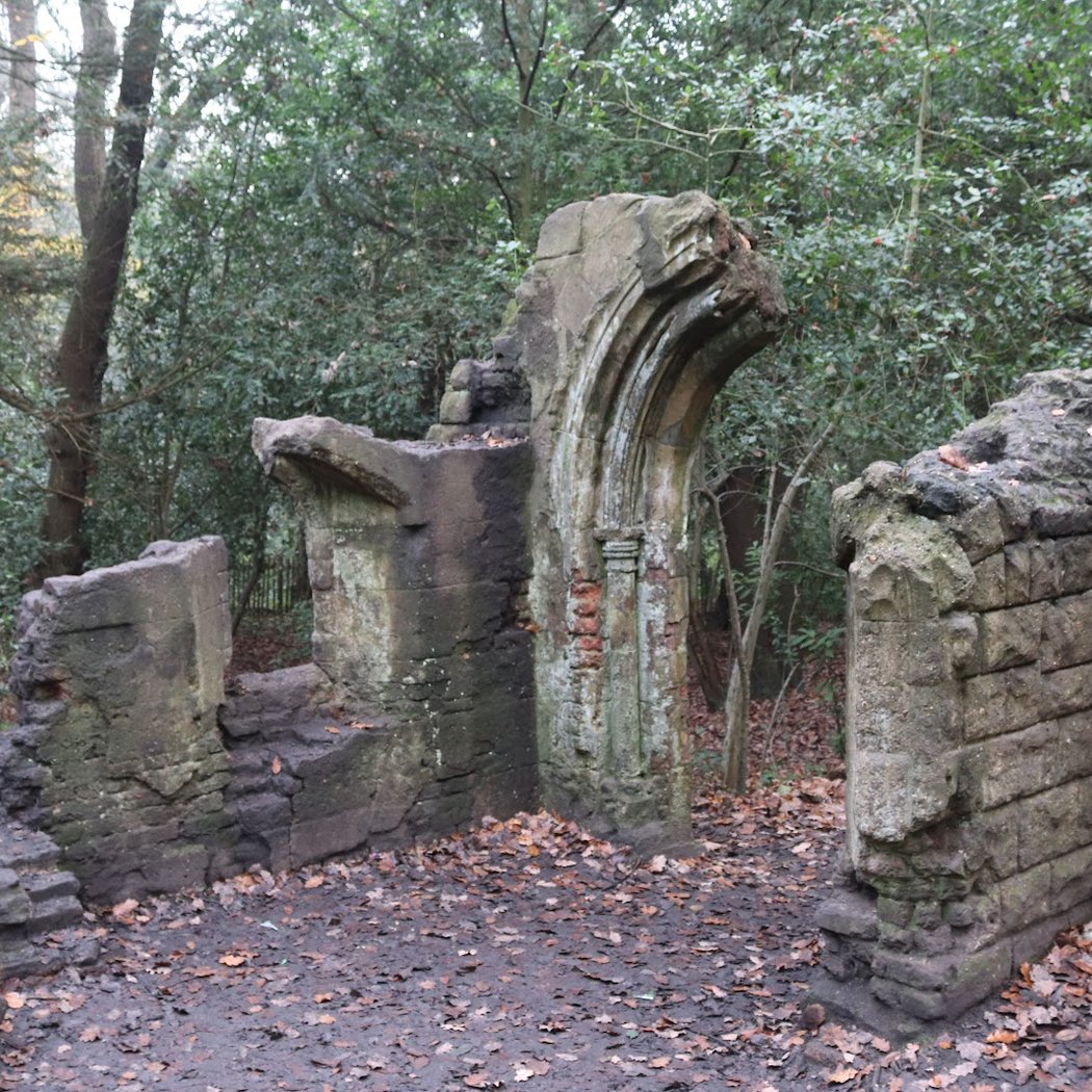 Sydenham Hill Wood 2