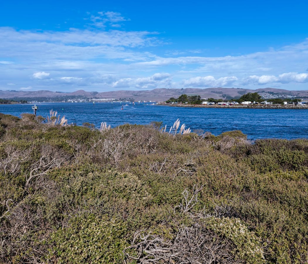 February Intertidal Walk 2