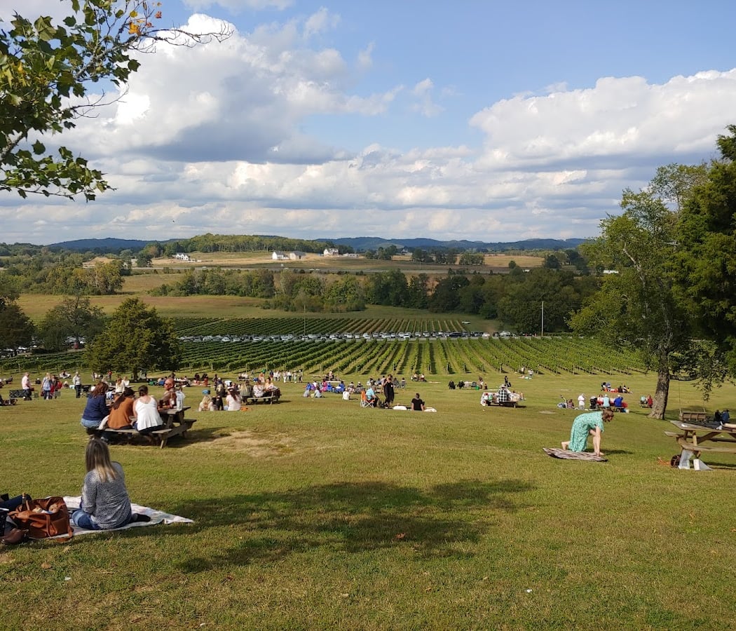 Jazz on the Hillside 1