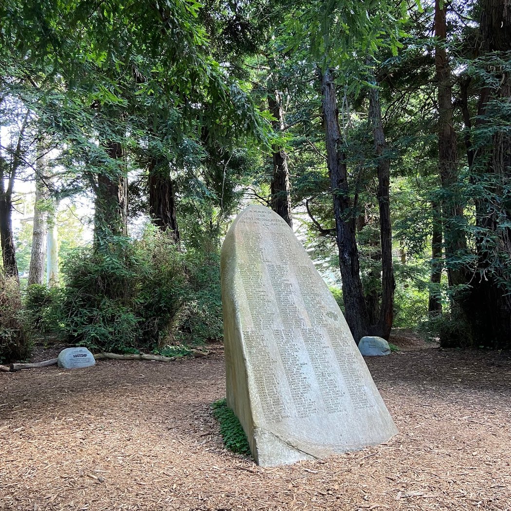 Redwood Memorial Grove 2