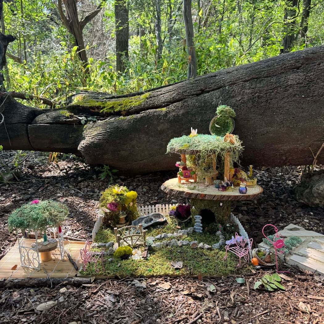 Woodland Faerie Trail Closing Celebration 3