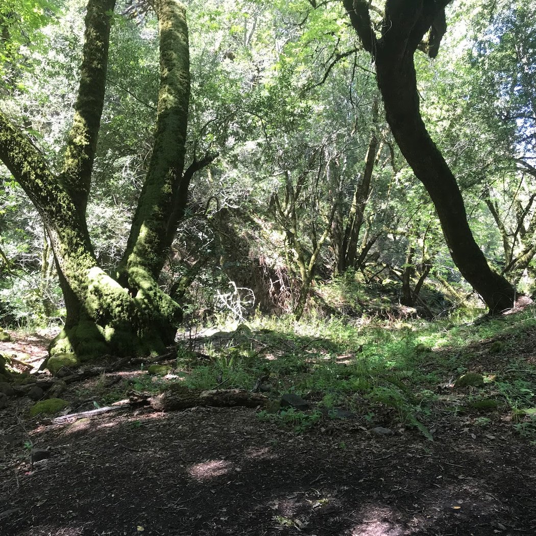 Fairfield Osborn Preserve 3