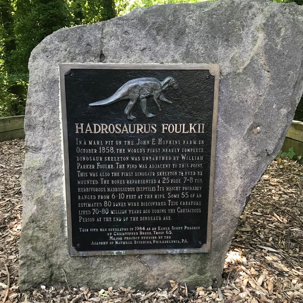 Hadrosaurus Foulki Site 3