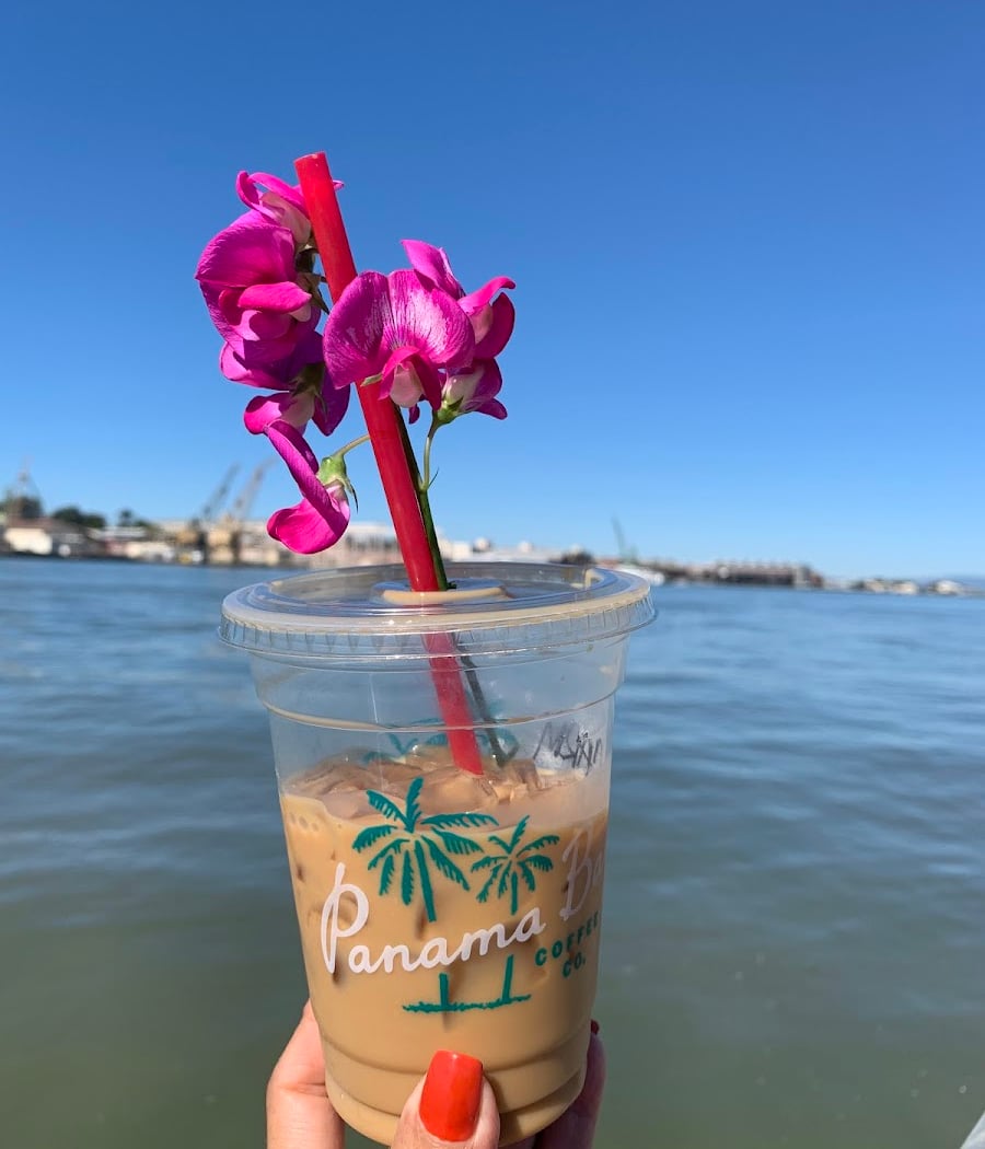 Panama Bay Coffee 1