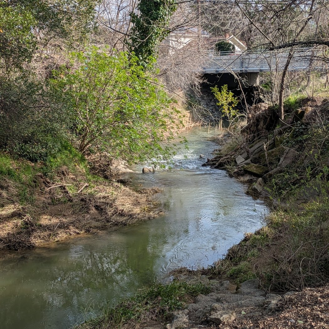Alamo Creek Park 3