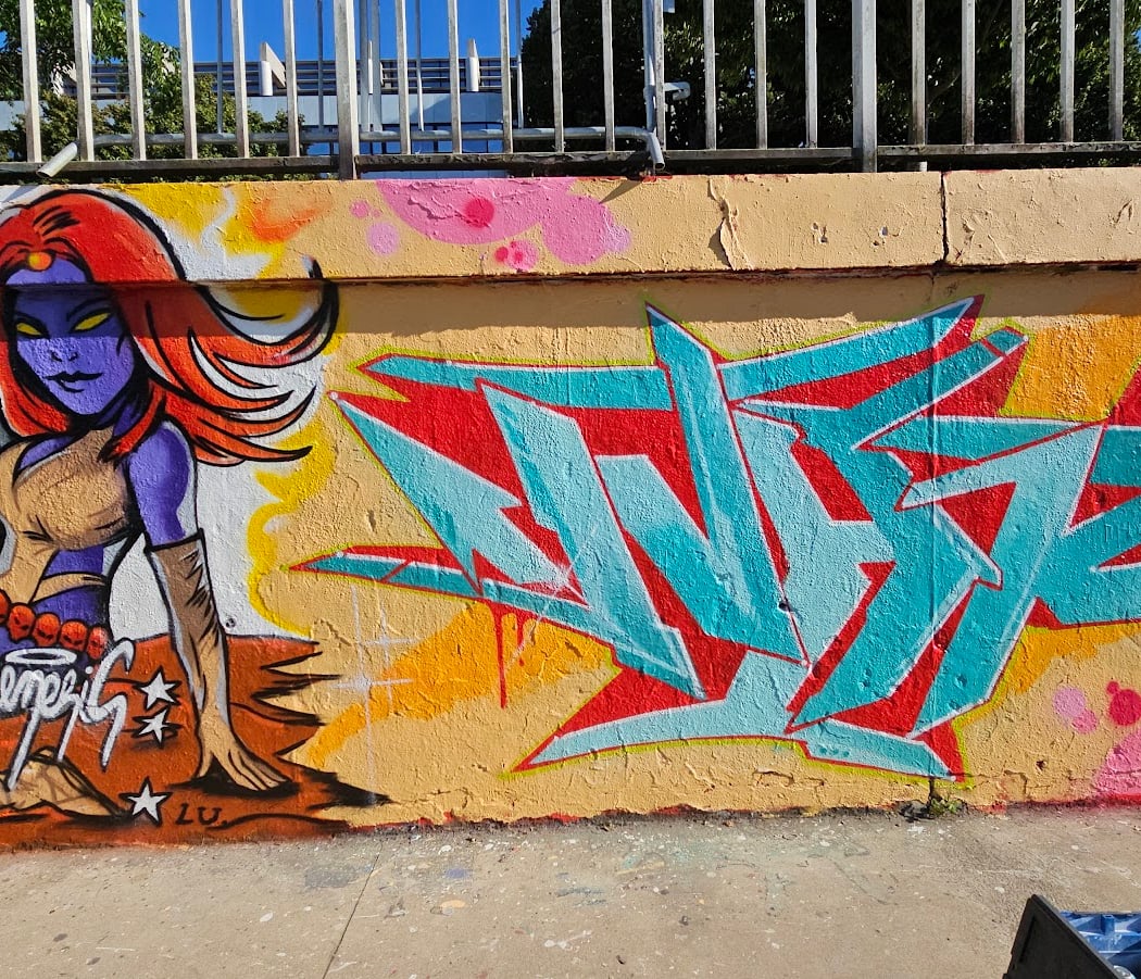 Graffiti wall Vincent Gâche 2