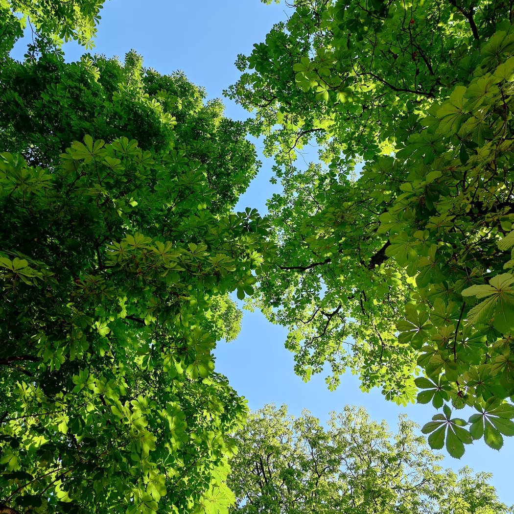 Wilhelmsdorfer Park 2