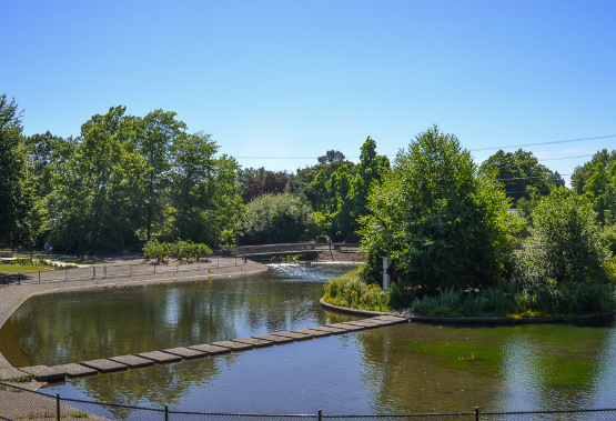 Alton Baker Park 3