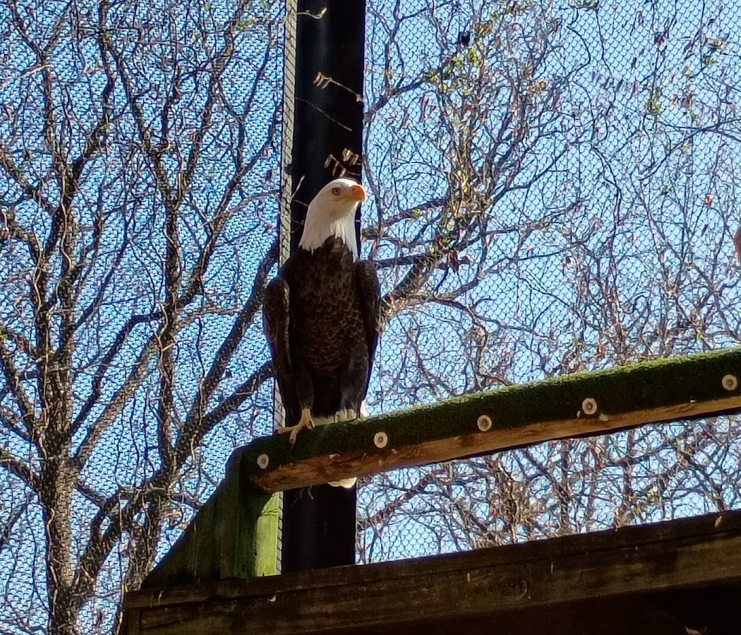 Lakeside Nature Center 3