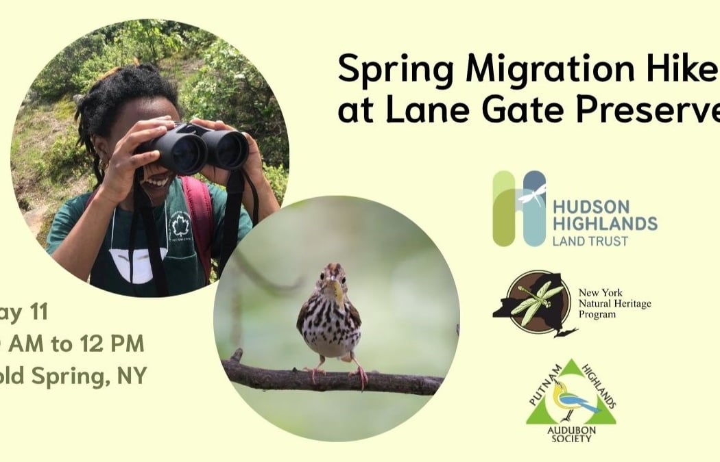 Guided Bird Walk 1