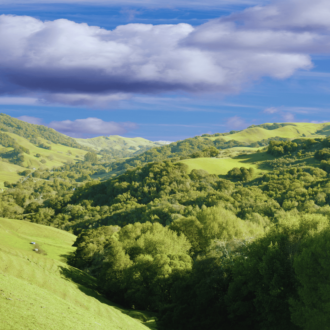 Las Trampas Wilderness Regional Preserve 1