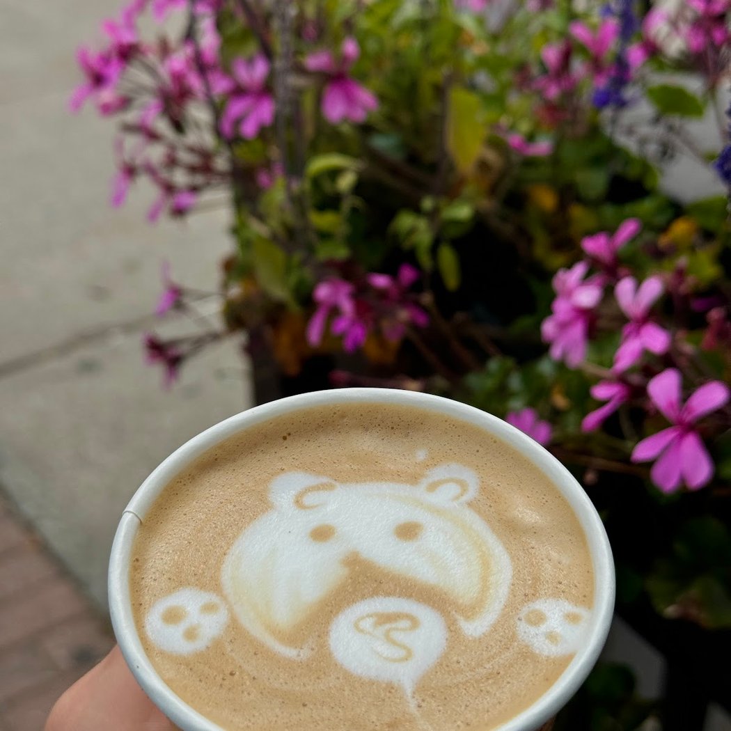 Caffe Vero 1