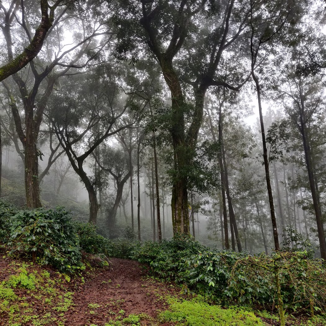 Merthi Gudda Trek 2