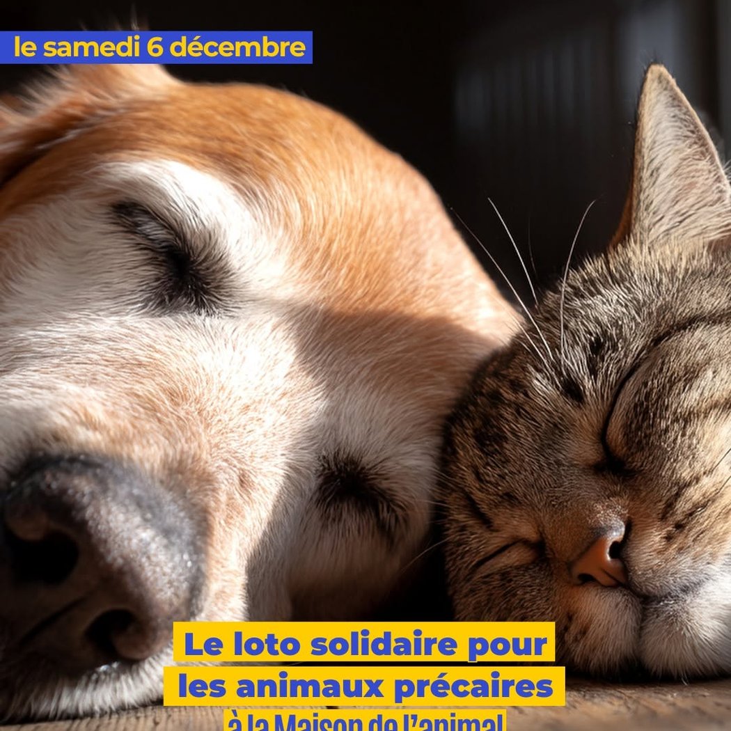 Loto solidaire pour les animaux 1