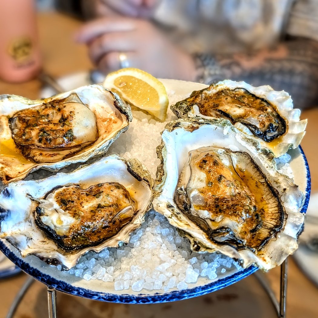 Hog Island Oyster Co 1