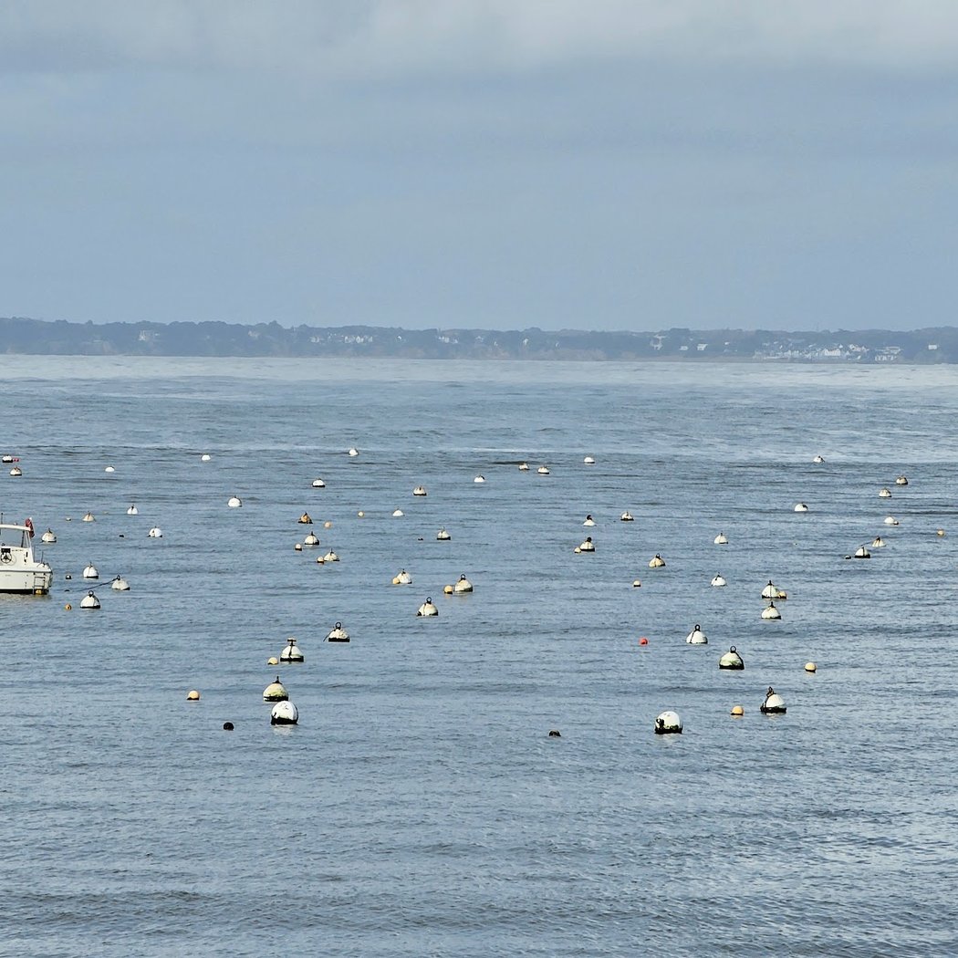 Visite guidée: Tharon-Plage, naissance d’une station balnéaire 3