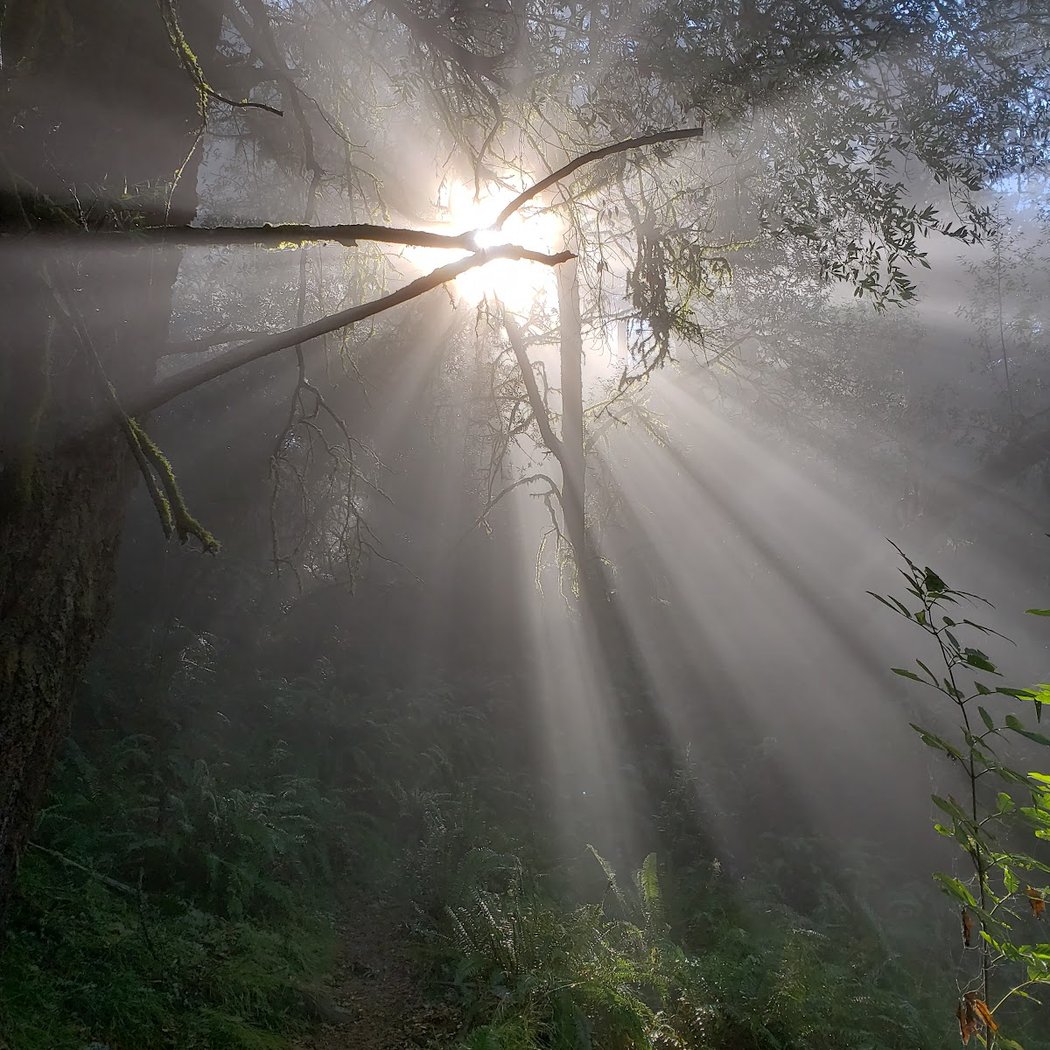 Matt Davis Trail 1