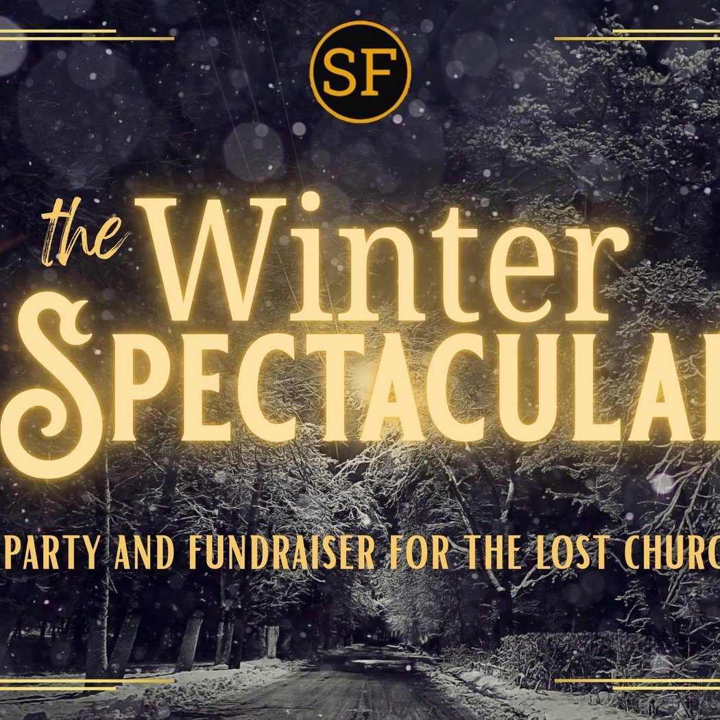 Winter Spectacular - Party + Fundraiser 1
