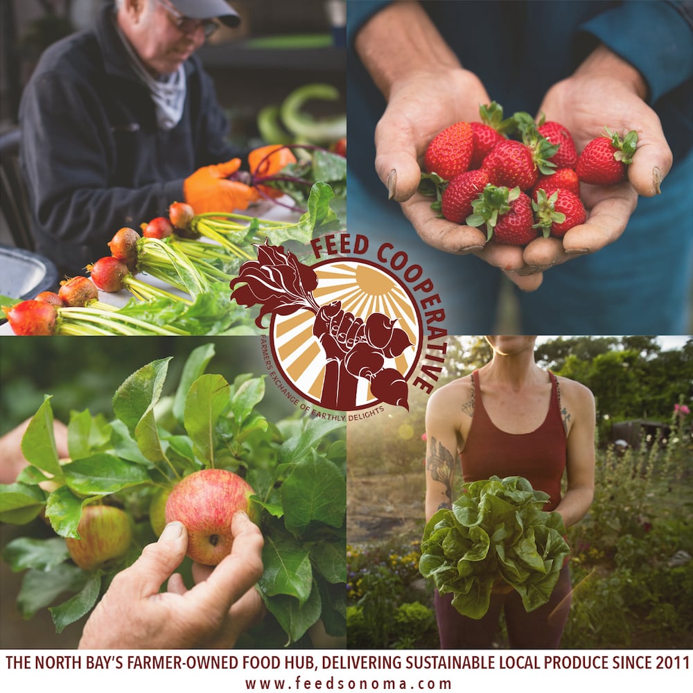 FEED Cooperative 1