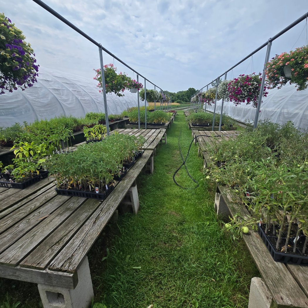 Morris Farm 3