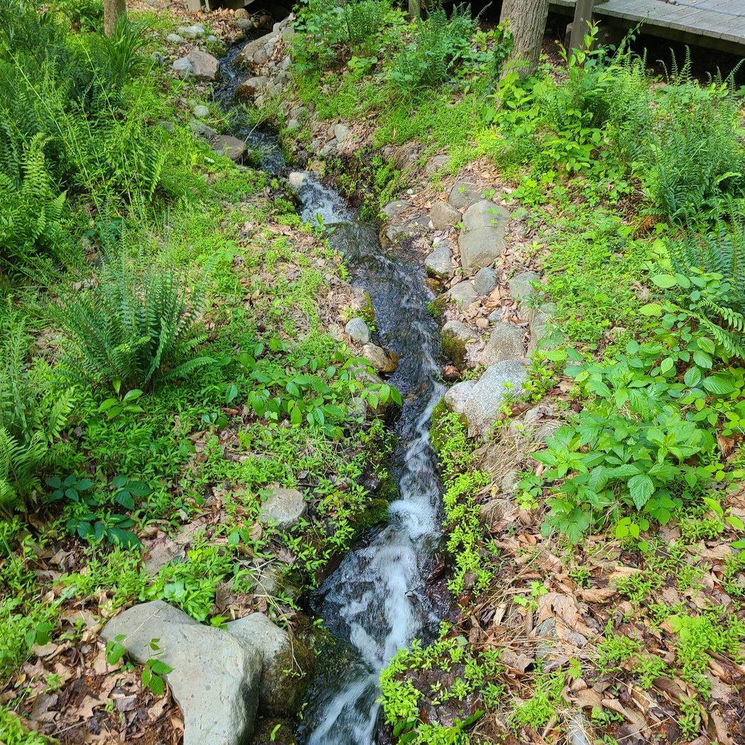 Family Discovery Hike 3