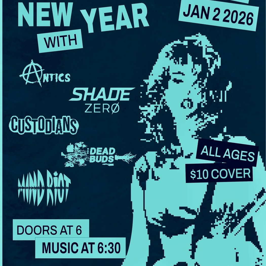 Ring in the New Year concert 1