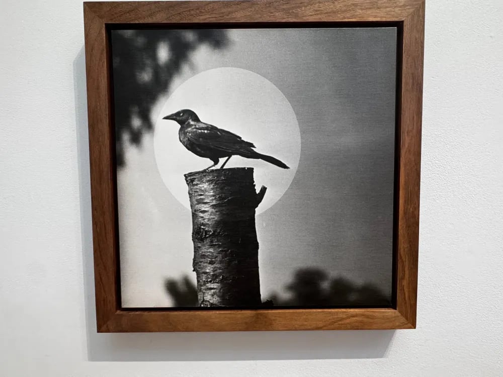 Brandstater Gallery 1