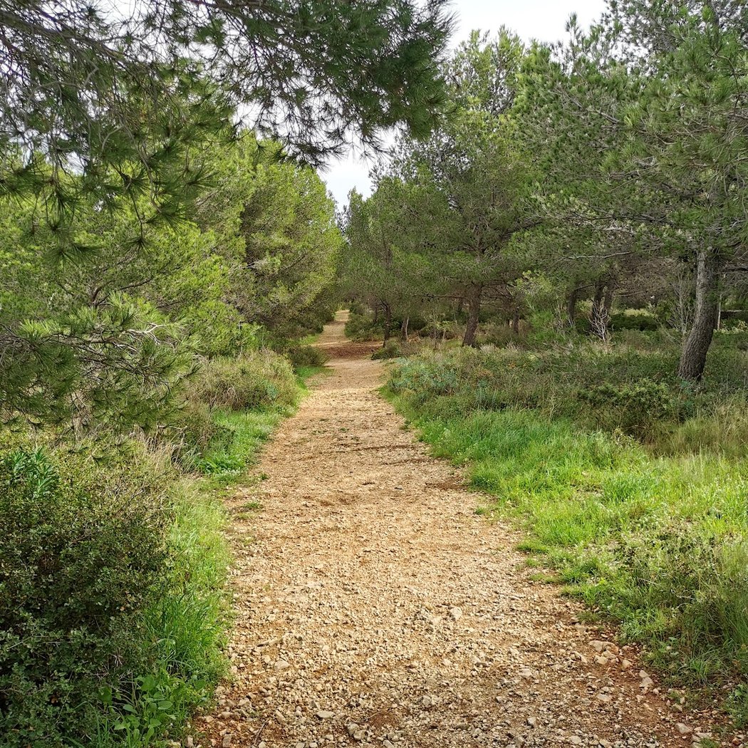 Parcours Botanique 2
