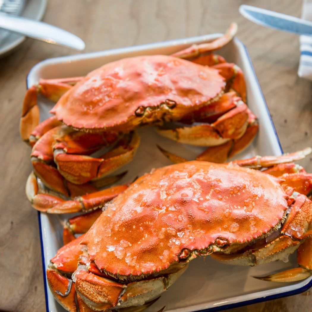 Unforgettable Evening at Tony’s Seafood 2