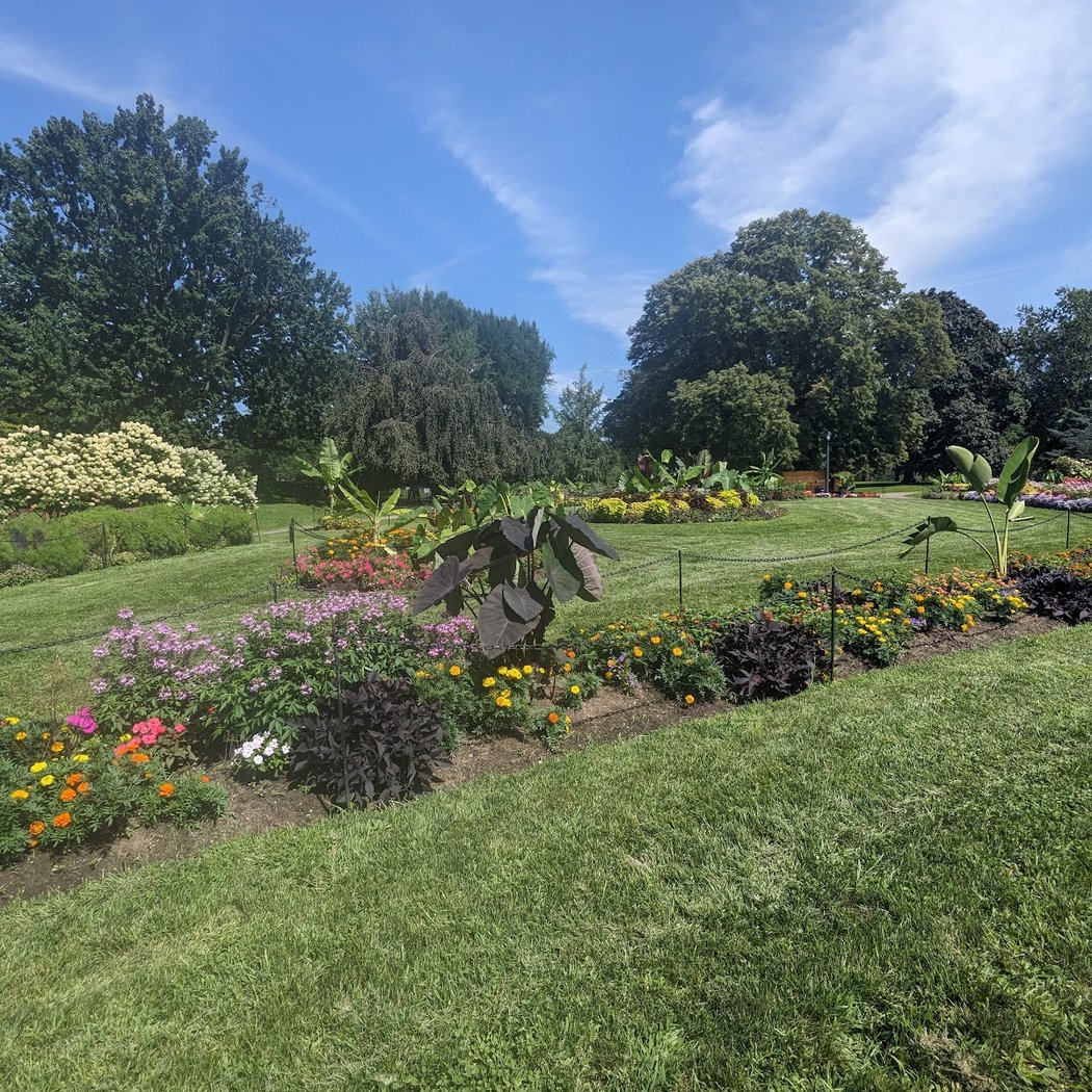 Albany Tulip Festival 4