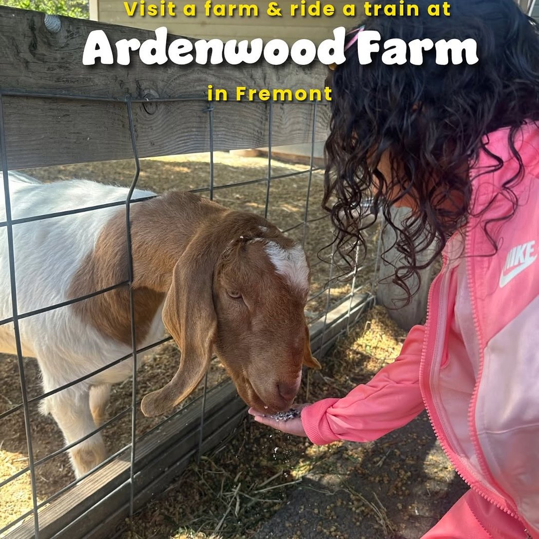 Ardenwood Historic Farm 1
