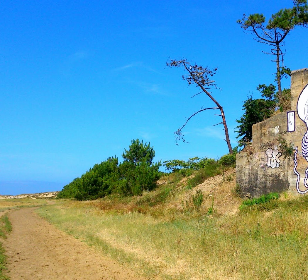 Baie de Bonne Anse 3