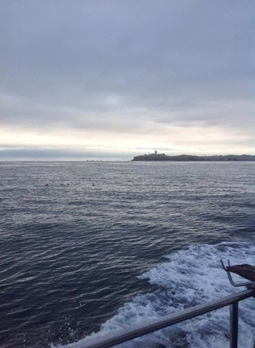 Riptide Charters 2
