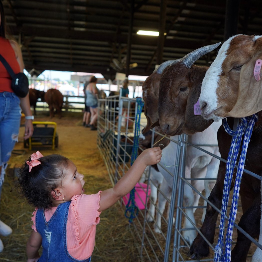 Fredericksburg Agricultural Fair 3